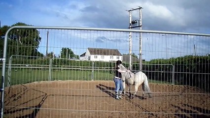 Hannah's First Join Up in the Monty Roberts Round Pen - Horse Whispering Lesson 1