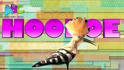 Birds Alphabet Song for Preschool | ABCs Song for Children | 3D Animated Nursery Rhymes
