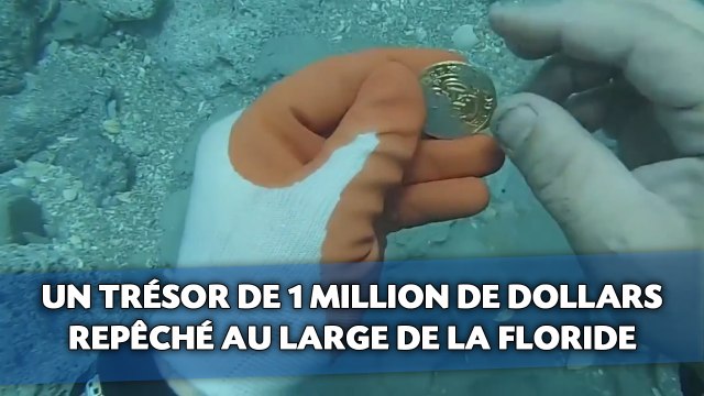 Un trésor d'un million de dollars repêché au large de la Floride