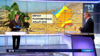 Sécheresse : le mois de juillet 2015 bat des records