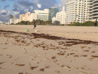 Illegal immigrants interrupt model's video shoot in Miami