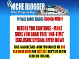 The Niche Blog Pack - 299 Niche PLR Wordpress Blogs With Content