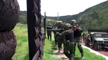 FUERZAS ARMADAS DE MEXICO 2015 (TIERRA,AIRE,MAR)