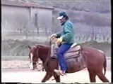 RDVideo - Marco Manzi - video 2 di 4 - Preparazione del cavallo alla disciplina del Reining