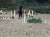 Horse Jumping Disaster Fall -  Me Falling Off 80cm (2ft 6in)