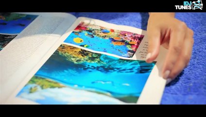 SNEZANA NENA NESIC - LETNJE AVANTURE (OFFICIAL VIDEO)