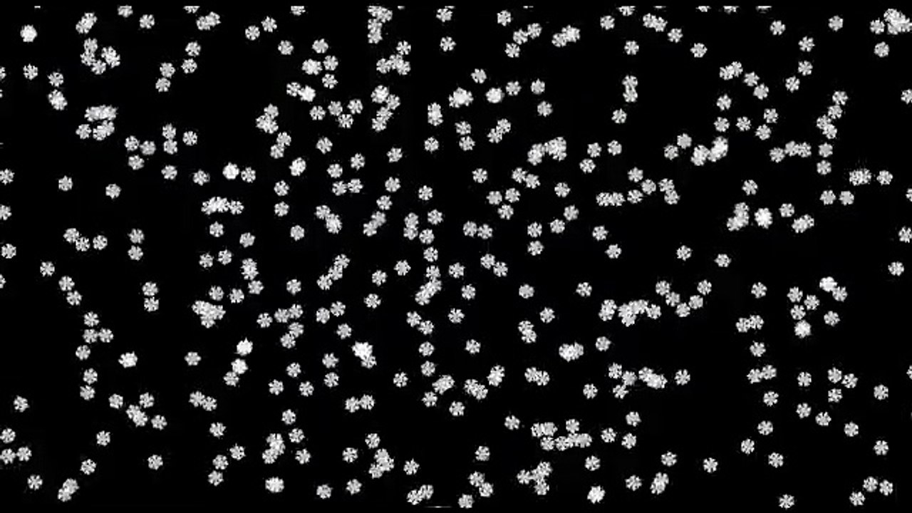 Cantate Dimanche après la Trinité Concert Gif sur Yvette 10nov1989