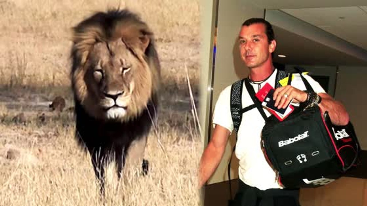 Gavin Rossdale and Other Celebrity Outrage Over Cecil the Lion Killing
