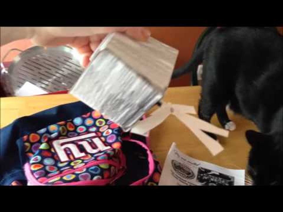 The Gracie and Mommy Show Random Randomness May