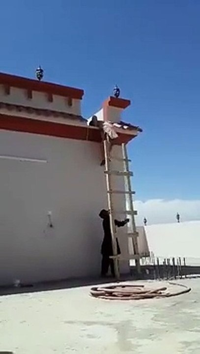 مذاق کی بھی کوئی حد ہوتی ہے