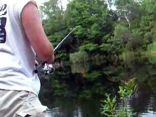 Gummy Worm Fishing for Bass