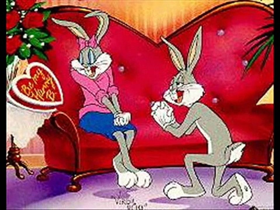 FADA...FADA QUERIDA...