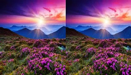 Grupo Brindis.quizas si quizas no