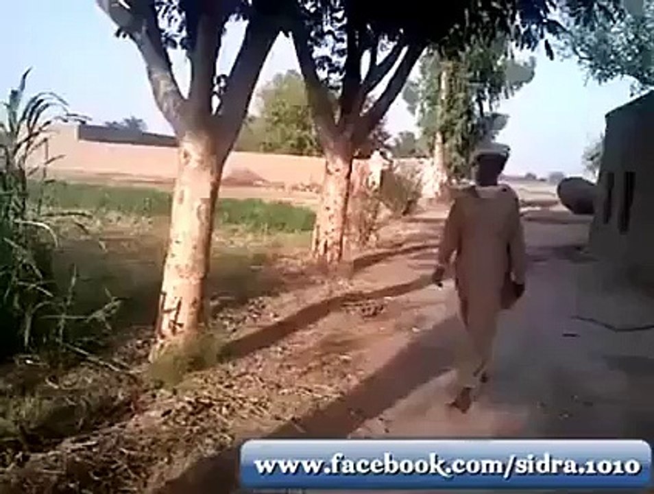 یہ دوبارہ کھیتوں میں پیشاب نہیں کرےگا