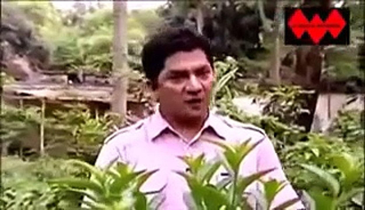 ঘরে স্বামী তারপরেও স্ত্রীর একাধিক পুরুষের সঙ্গে পরকিয়া _ Bangla crime patrol news 2015