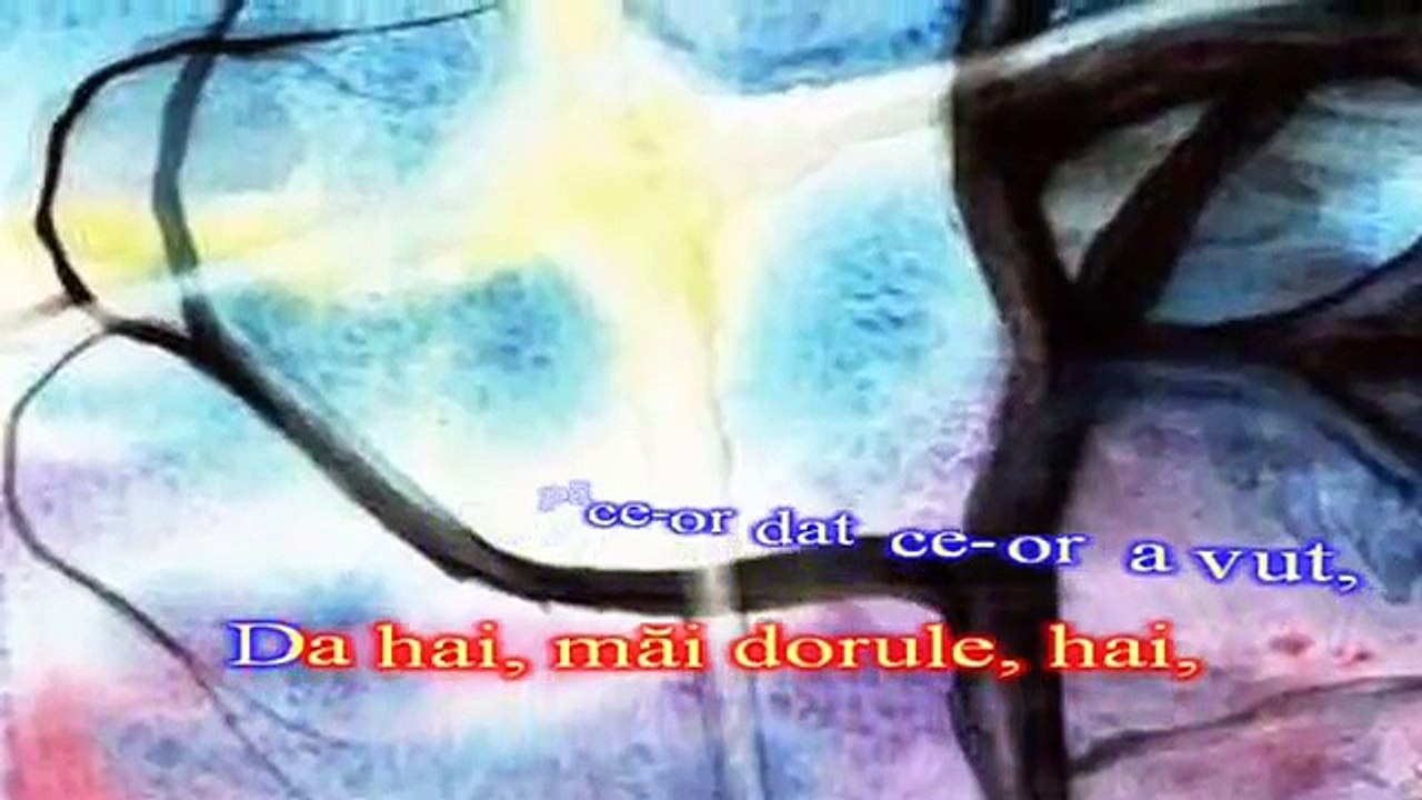 Mircea Rusu - Omul bun si pomul copt - karaoke romanesti