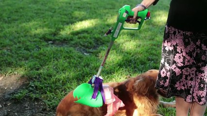 Best Pooper Scooper!