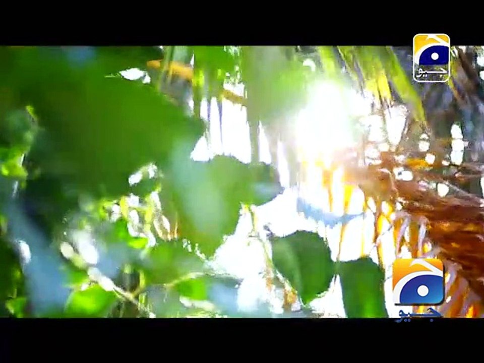Bojh - Ep 17
