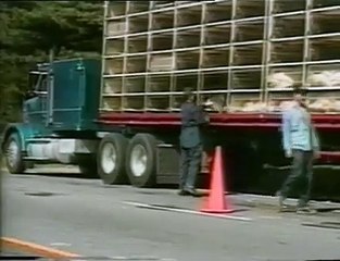 Meet your Meat - Deutsch