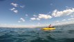 Up-close encounter with shark off Florida coast