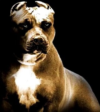 Instrumental Hip Hop Under Old School Piano Funebre Hs Beats 2015 Pista De Rap Uso Libre