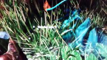 Farcry 4 funny moments