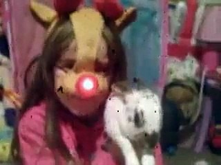 In Loving Memory Of My Beautiful Rabbit Isabella-Rose xxxxxx