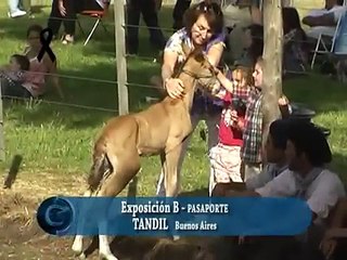 Expo Tandil 2/3