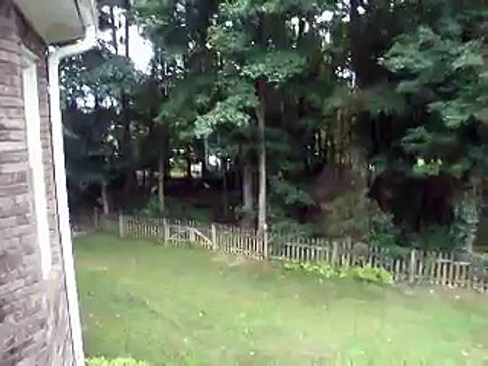 Bois derrière la maison à Greenville.USA