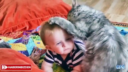 DADILIK yapan sevimli KEDİLER