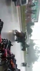 Punjab Govt. at its best - Watering Plants during heavy rains - See how people are making fun of them