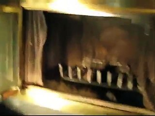 attack of the cat, then the squirrel, then the bird