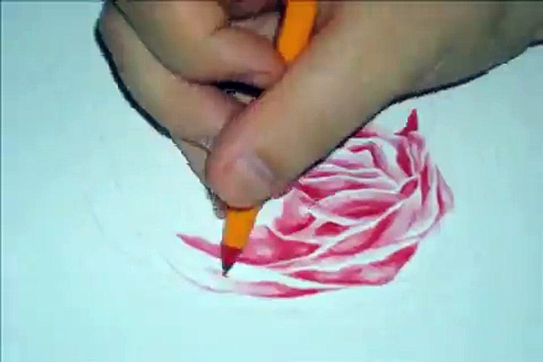 Stop Motion Drawing 4: Red Rose in ballpoint pen
