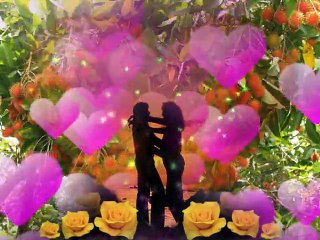 TÌNH ĐẸP MÙA CHÔM CHÔM