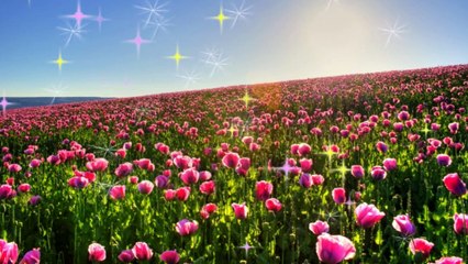 CHIỀU THƯƠNG ĐÔ THỊ