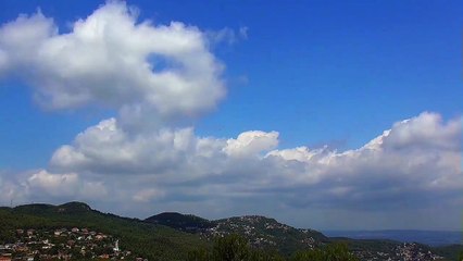 Así transcurrió el día  29/7/2015