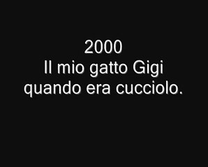 Video herunterladen: Martino Ceretta e il gatto Gigi quando era cucciolo (2000)