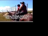 ニュージーランドで乗馬体験