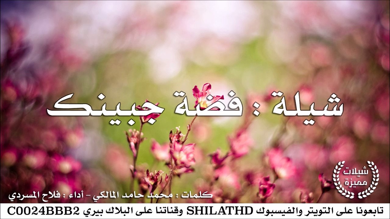 شيلة : فضة جبينك - أداء : فلاح المسردي | أصلي +...