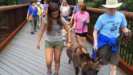 Crossing the Rosendale Trestle