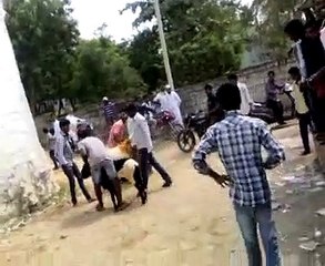 Jalal the white one and talwar black sheep fight