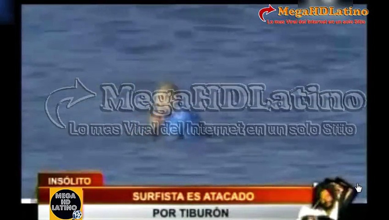 Surfista es atacado por un tiburon