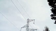 Bruit ligne haute tension foret