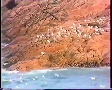 ILE- JEAN MICHEL CARADEC