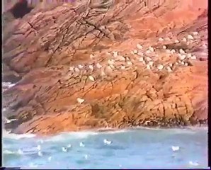 ILE- JEAN MICHEL CARADEC