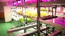 Smart farming, high-tech agricultural automation