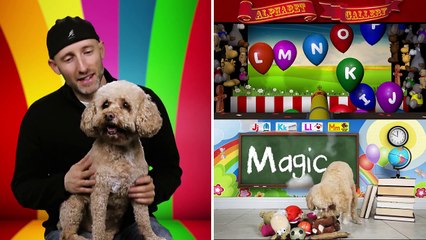 Educational Videos For Kids | Brain Candy TV Channel Trailer