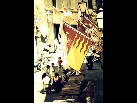 Palio di Siena 2012 - VENTIDUE ANNI UN GIORNO PRIMA - Contrada del Valdimontone