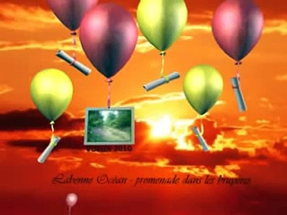 Voeux 2010