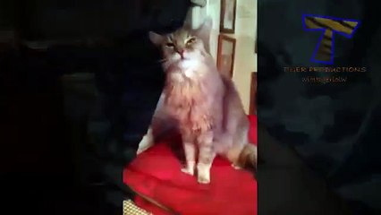 SQ안산출장안마 $라인 010-2156-4202《 즐달~안산출장마사지, 수원출장안나 HERO 안산출장안마